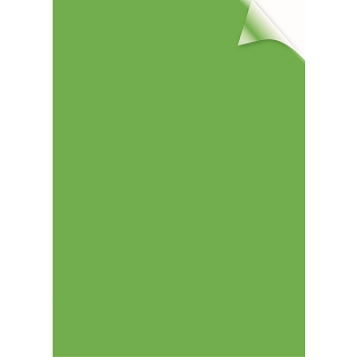 Coperti transparente, verde, A4, 200 microni, 100 buc/top, FELLOWES