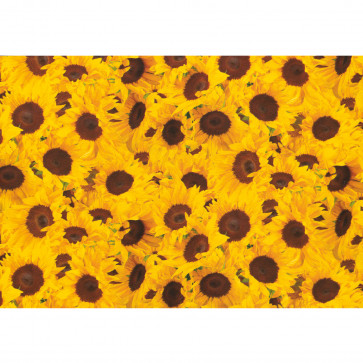 Hartie pt. ambalare, 70 x 200cm/rola, 70gr/mp, model cu floarea soarelui, HERLITZ