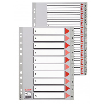 Separatoare din plastic, index 1-6, A4, ESSELTE