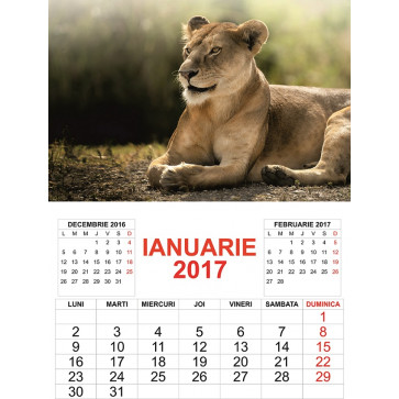 Calendar 2017, cu imagini, 12 file + coperta, 32 x 45cm, ANIMALE