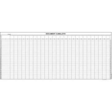 Document cumulativ, 1/A3, tipar fata, 100 file/carnet