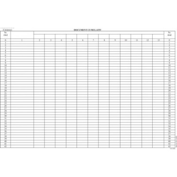 Document cumulativ, orizontal, A3, tipar fata, 100 file/carnet