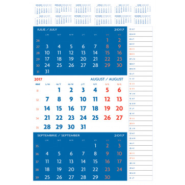 Calendar 2017, de perete, 3 x 12 file, 33 x 48cm, TRIPIC SPECIAL