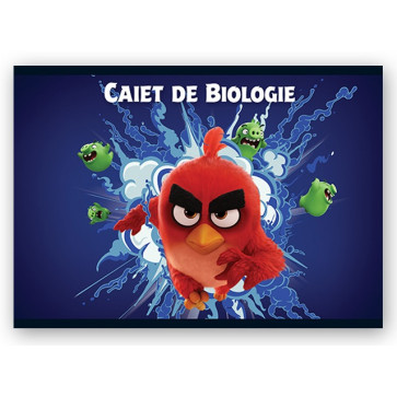 Caiet pentru biologie, 17 x 24cm, 24 file, PIGNA Angry Birds