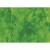 Hartie pt. ambalare, 70 x 200cm/rola, 70gr/mp, verde, HERLITZ