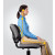 Suport ergonomic pentru spate, FELLOWES Professional Series™