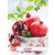 Caiet A4, matematica, 80 file, HERLITZ x.book Fresh Fruits