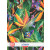 Caiet A4, matematica, 80 file, HERLITZ Tropical