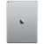 APPLE iPad Pro Wi-Fi 256GB Ecran Retina 12.9", A9X, Space Gray