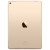 APPLE iPad Pro Wi-Fi 32GB Ecran Retina 9.7", A9X, Gold