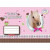 Caiet muzica, 17 x 23cm, 24 file, HERLITZ Pretty Pets