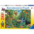 Puzzle Jungla, 200 piese, RAVENSBURGER Puzzle Copii