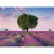 Puzzle Valensole Franta, 500 piese, RAVENSBURGER Puzzle Adulti