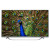 Televizor Smart LED Ultra HD, webOS 2.0, 124 cm, LG 49UF7787